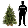 Świerk kaukaski, choinka sztuczna 150 cm Royal Trees premium drzewko świąteczne jak żywe