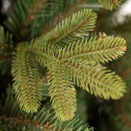 Choinka sztuczna Premium Royal Trees 180 cm świerk syberyjski, drzewko świąteczne