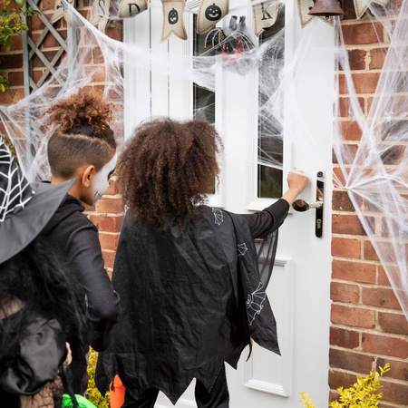 Ozdoba na Halloween pajęczyna z 2 pająkami dekoracja sieć pajęcza 3,5 m