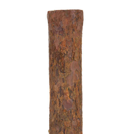 Choinka na pniu sztuczna, świerk śnieżony 220 cm