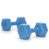Hantle 2x2,5kg hexagonalne do ćwiczeń fitness ciężarki zestaw 2 szt. niebieskie