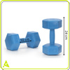 Hantle 2x2,5kg hexagonalne do ćwiczeń fitness ciężarki zestaw 2 szt. niebieskie