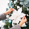 Choinka sztuczna z szyszkami Premium Royal Trees 220 cm sosna diamentowa ośnieżona