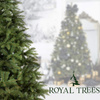 Świerk kaukaski, choinka sztuczna 150 cm Royal Trees premium drzewko świąteczne jak żywe